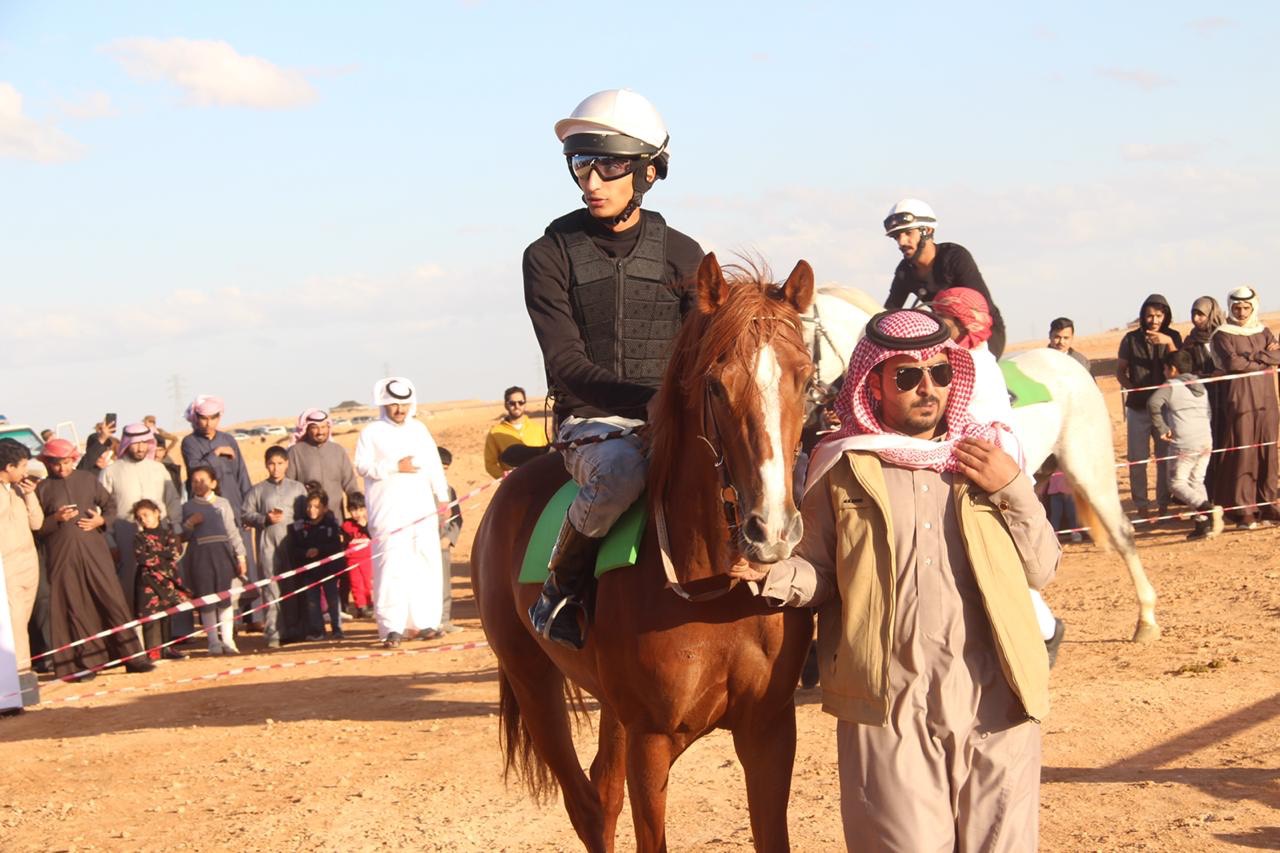 horse race40 13