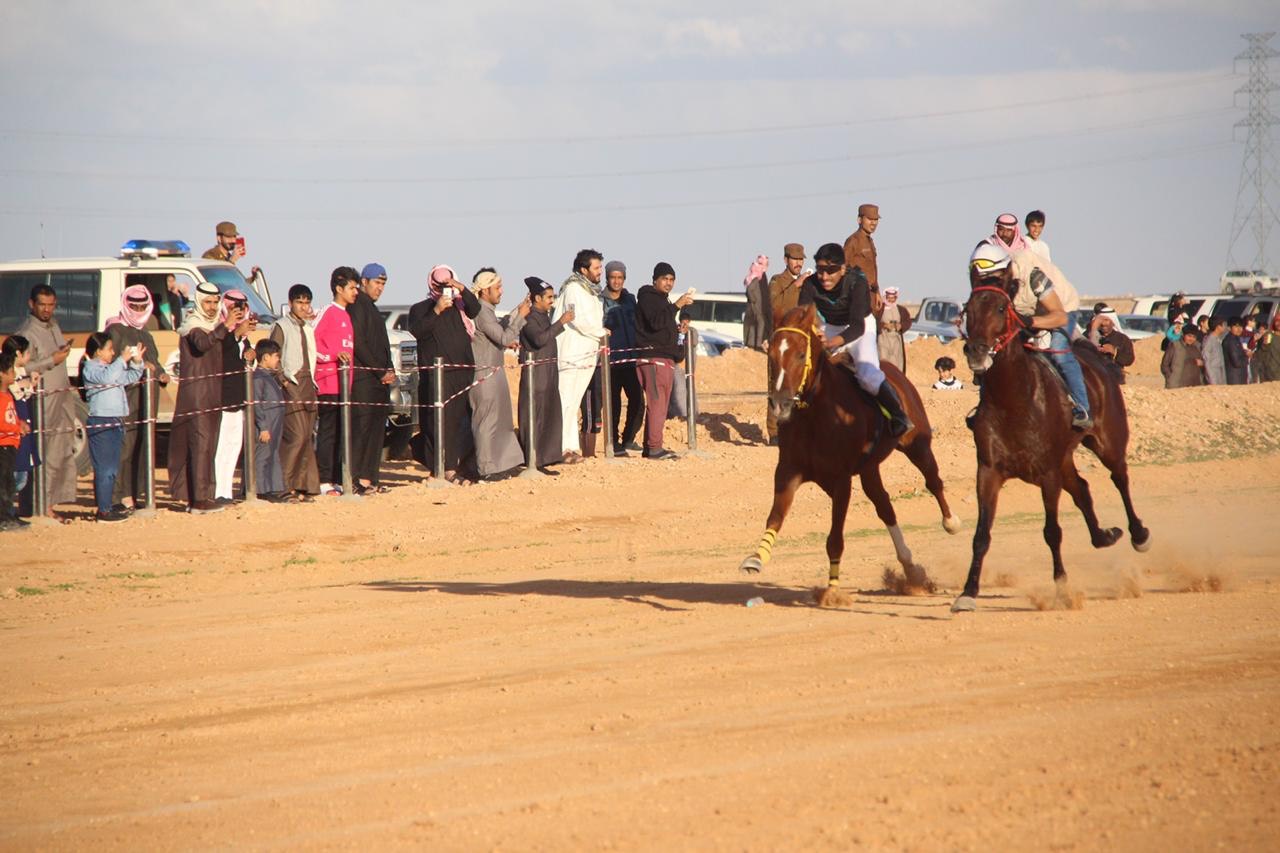 horse race40 13