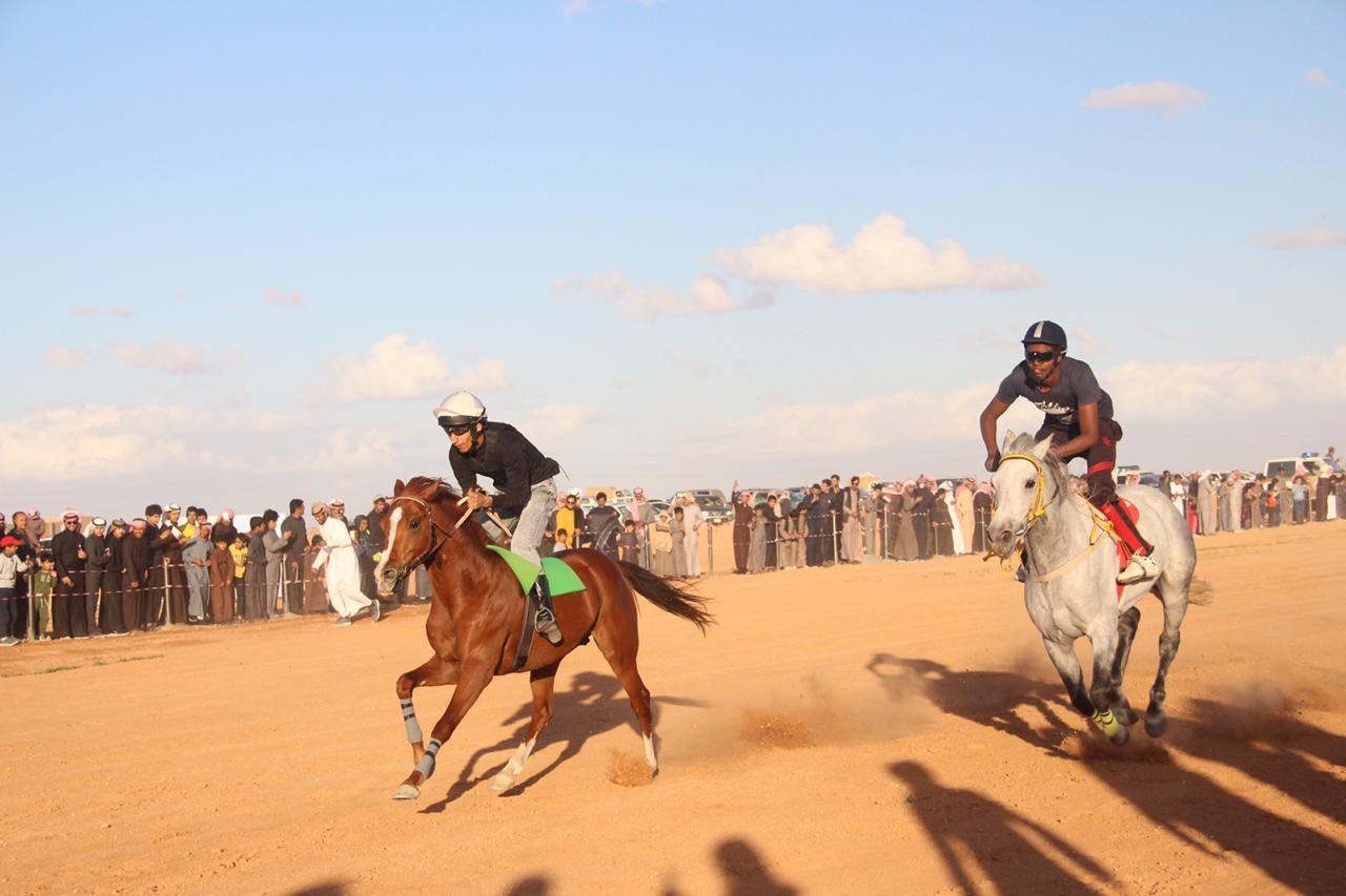 horse race40 13