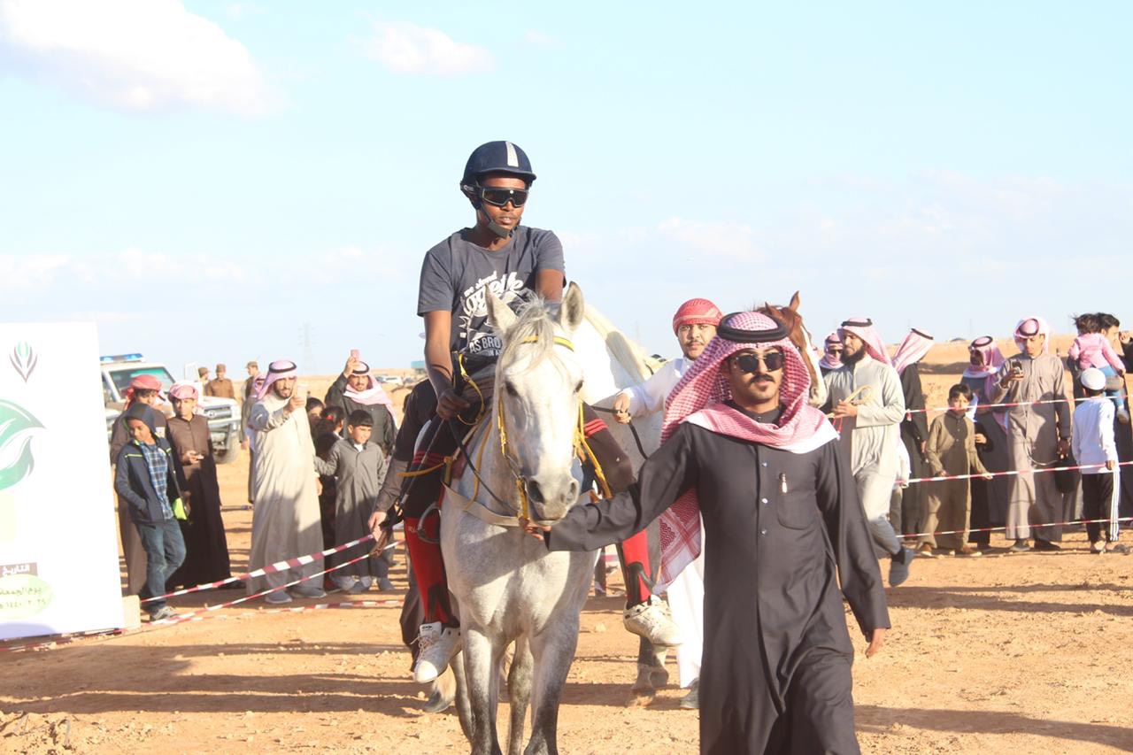 horse race40 13